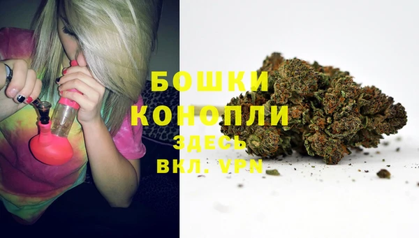 таблы Богданович