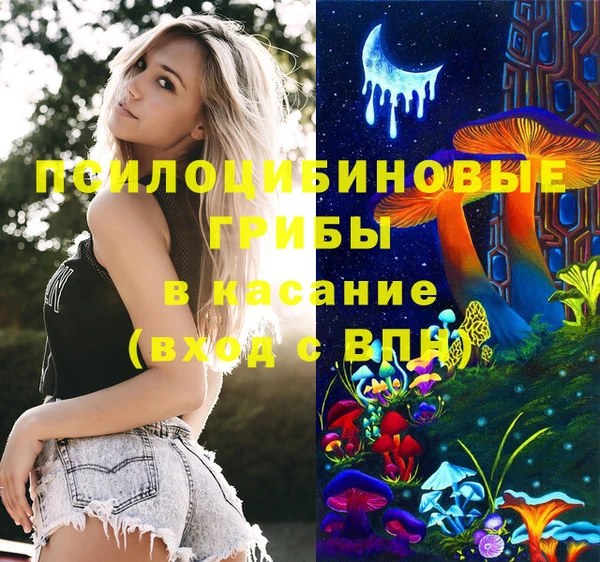дурь Богородицк